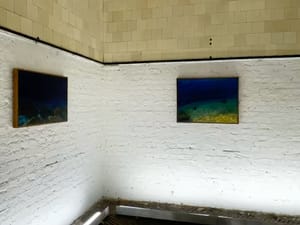 Aquatic Achievements